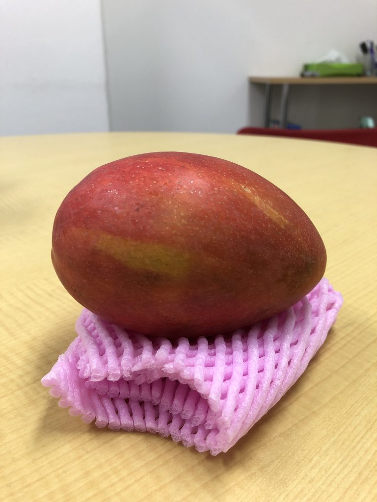 IMG_0406 名古屋で英会話ならマスターイングリッシュ